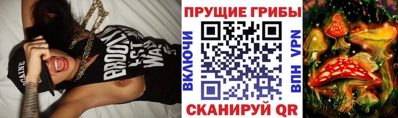 купить наркотики цена  omg ссылка  Псилоцибиновые грибы ЛСД  Слободской 